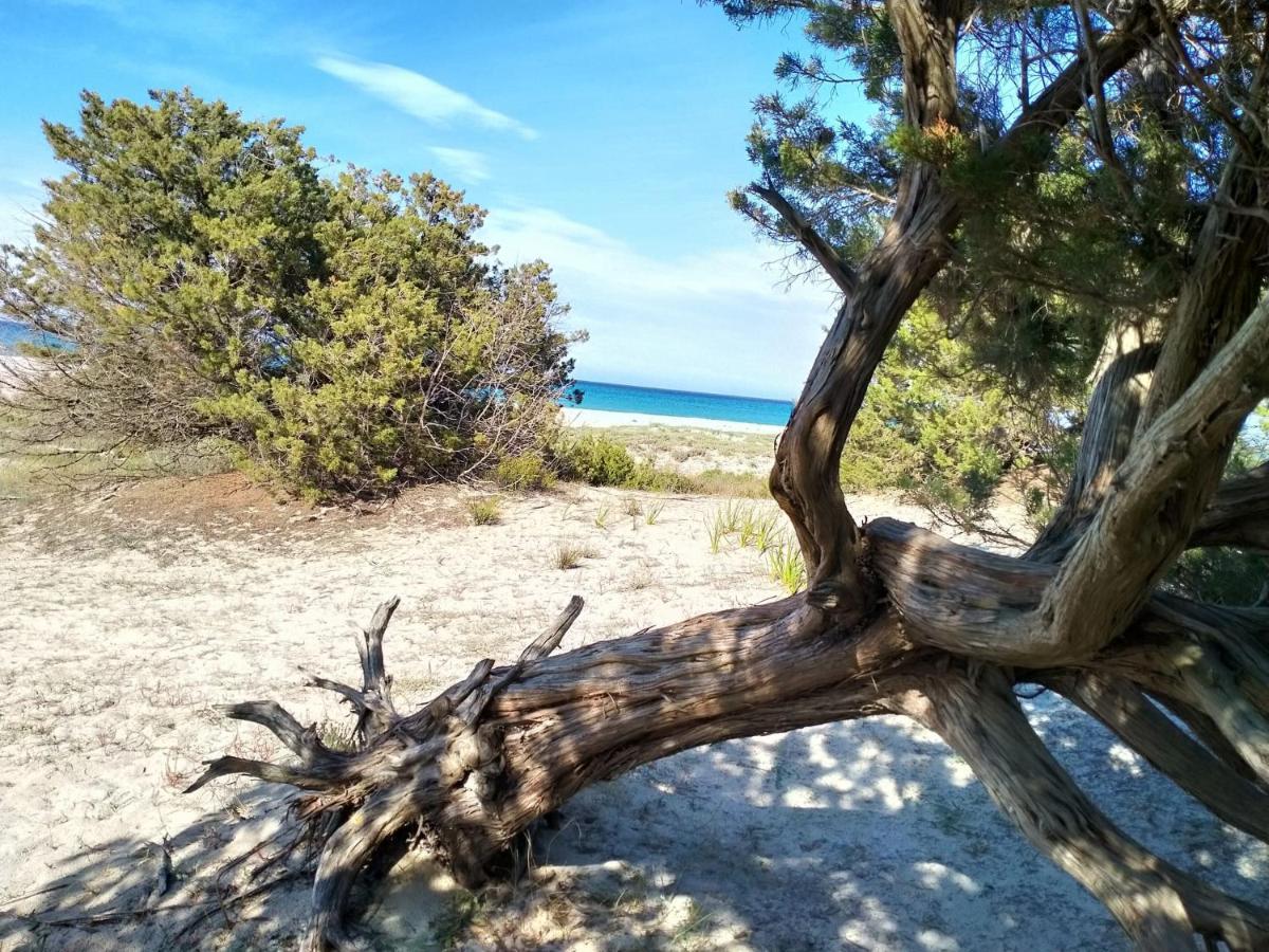 Caletta Sul Mare Otel La Caletta Dış mekan fotoğraf